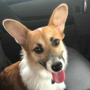 Meet your Posher, Tatum